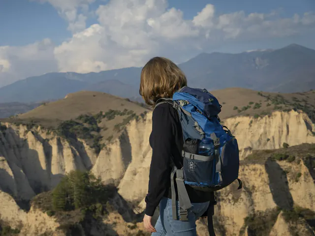 A traveller with a backpack looking out over a canyon